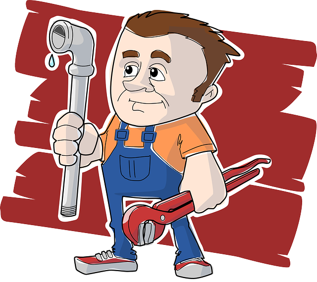 Podnikání